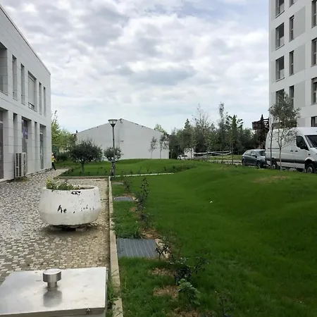 Urban Oasis Apartment